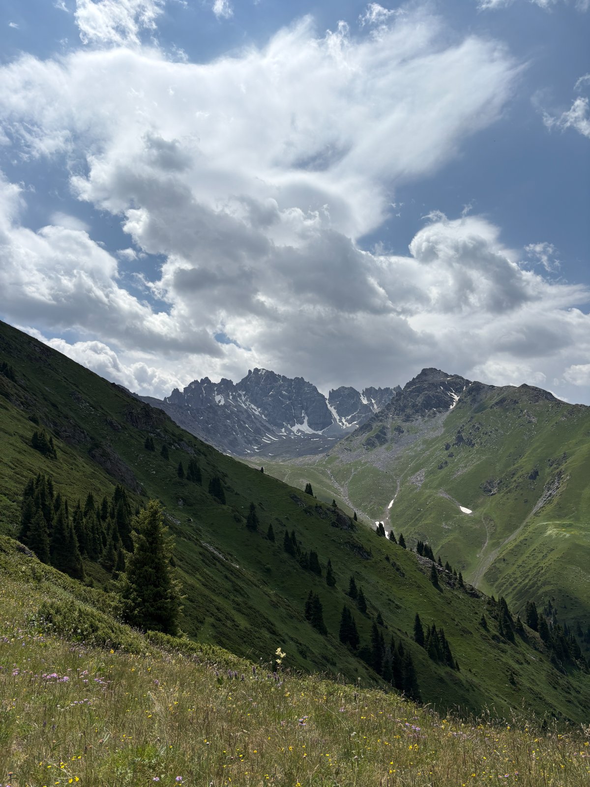 Trail photo