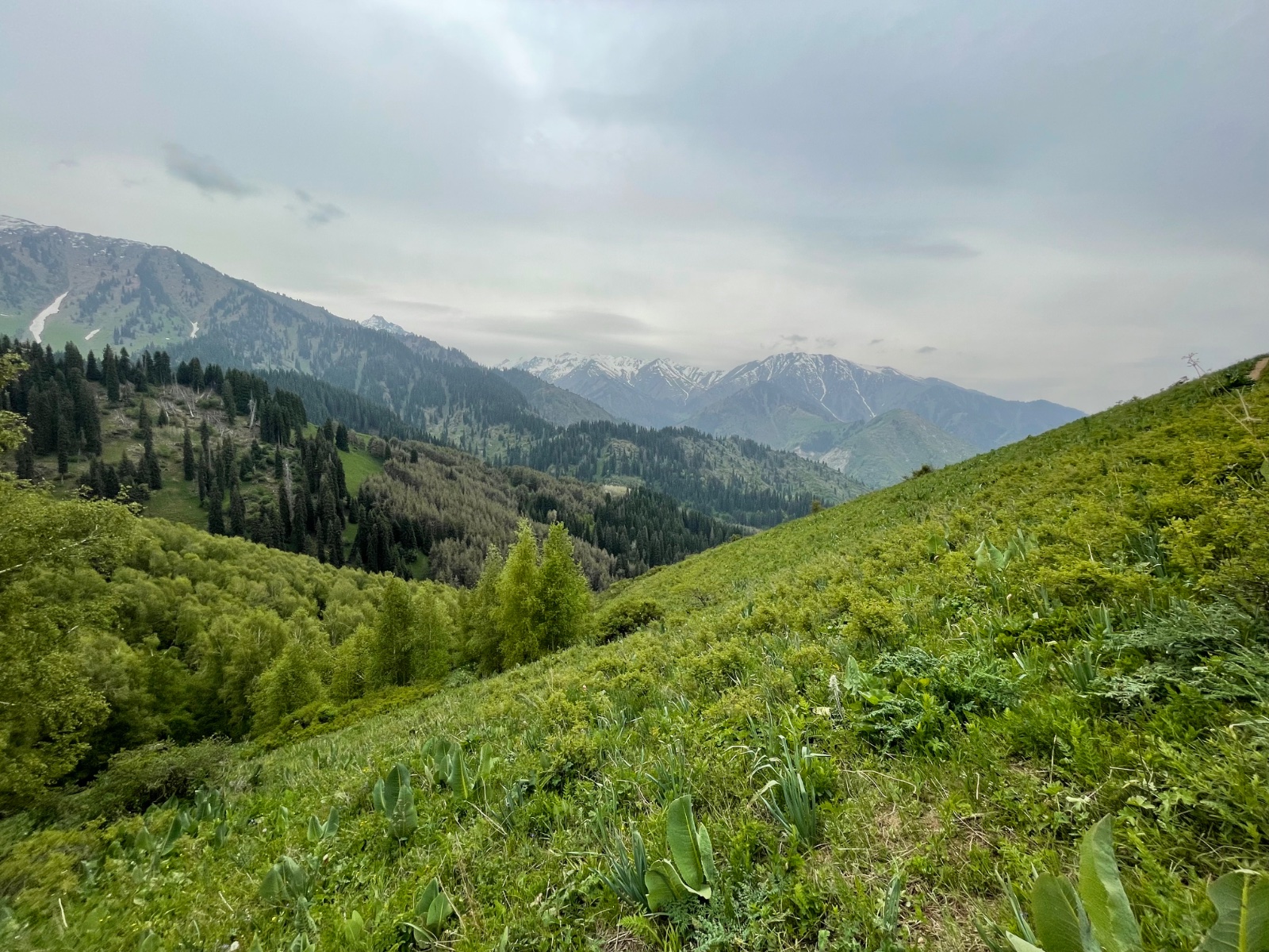 Trail photo