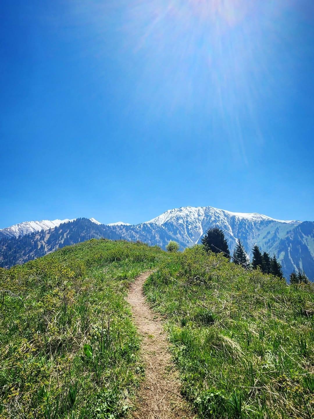 Trail photo