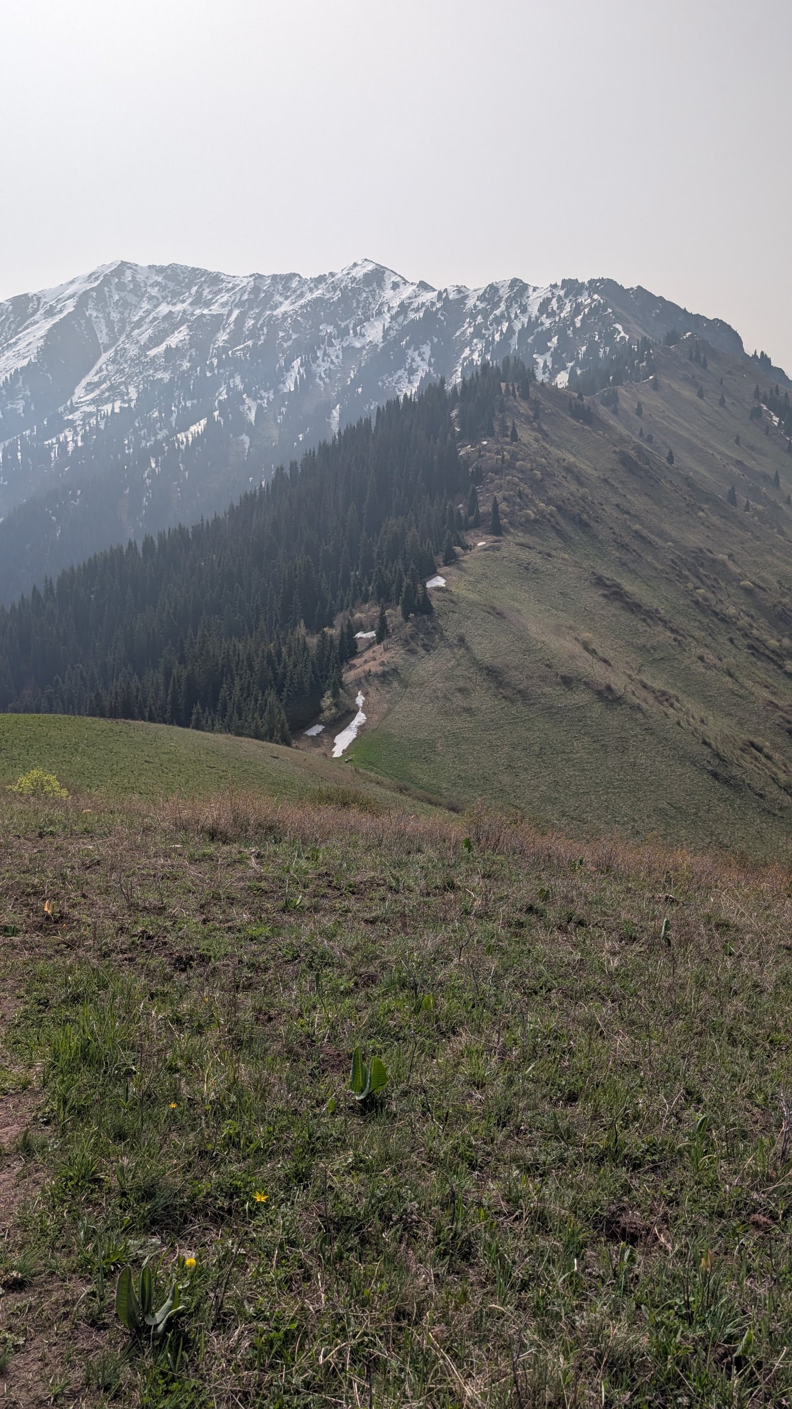 Trail photo