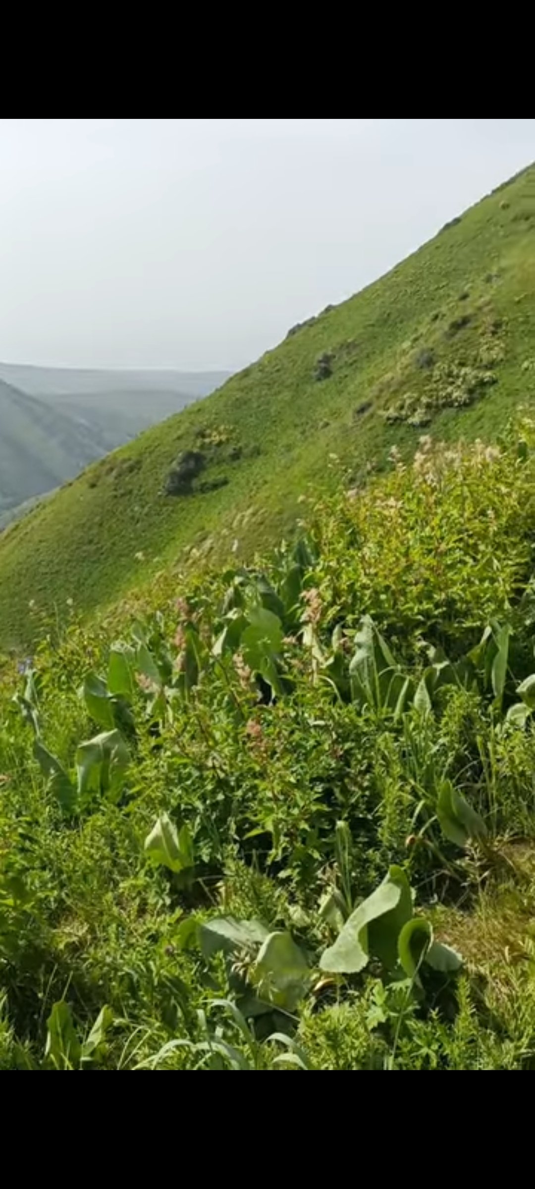 Trail photo