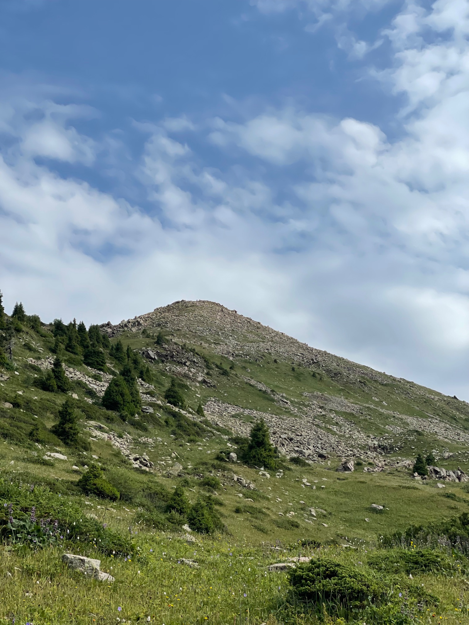 Trail photo