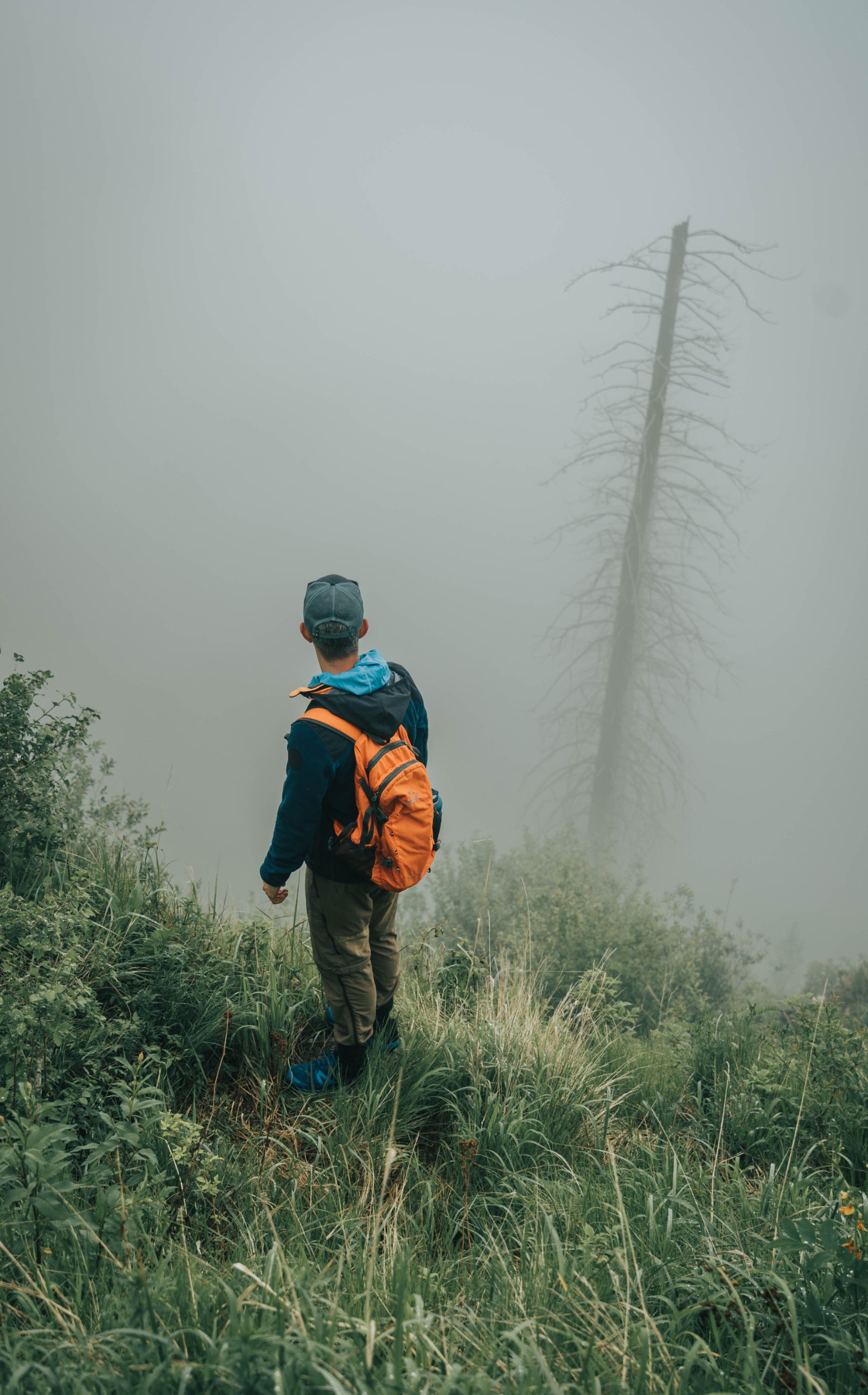 Trail photo