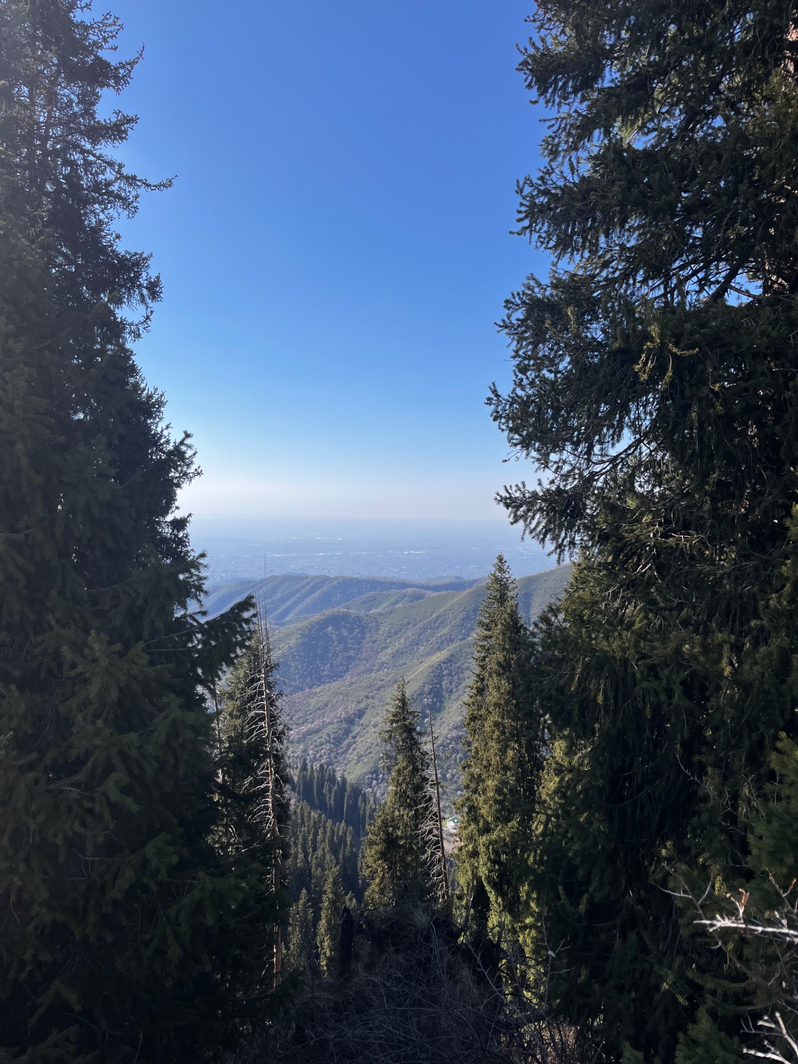 Trail photo