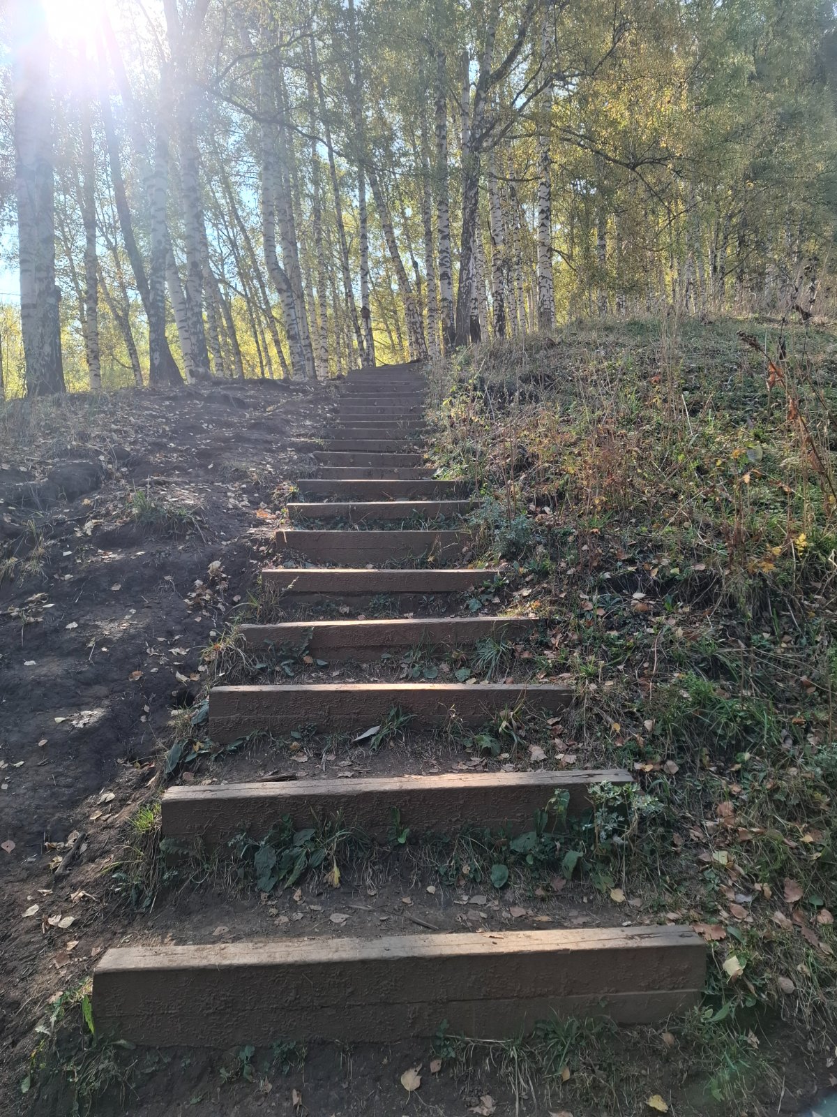 Trail photo