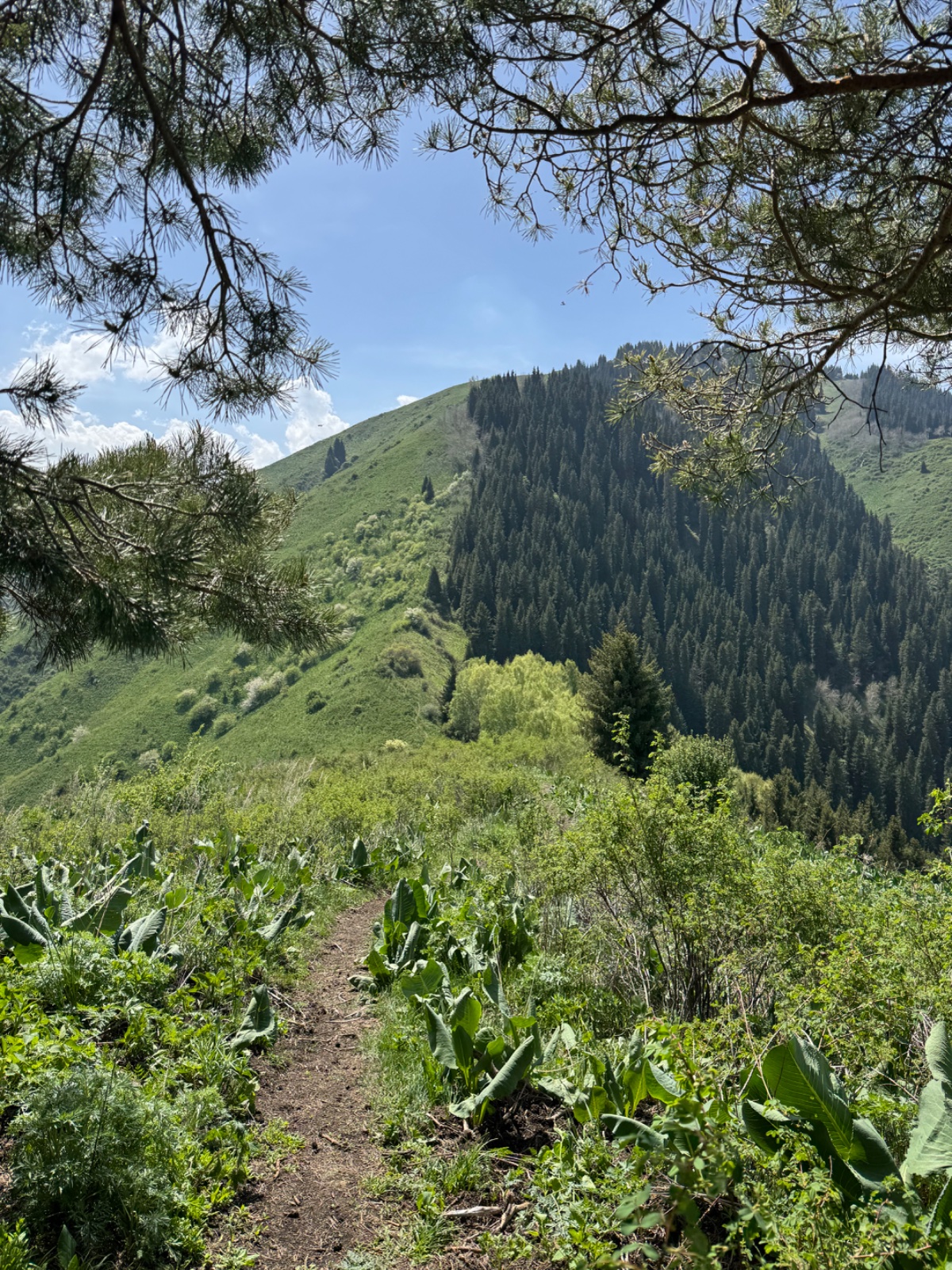 Trail photo