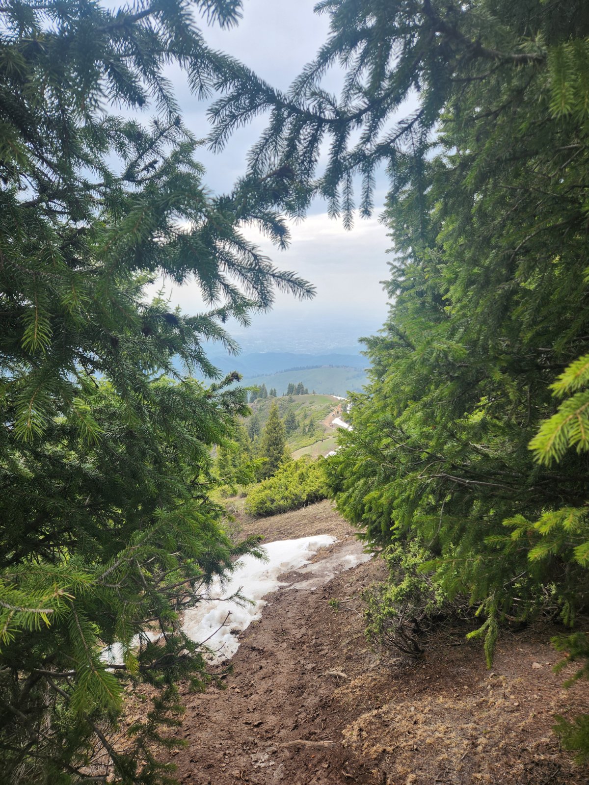 Trail photo