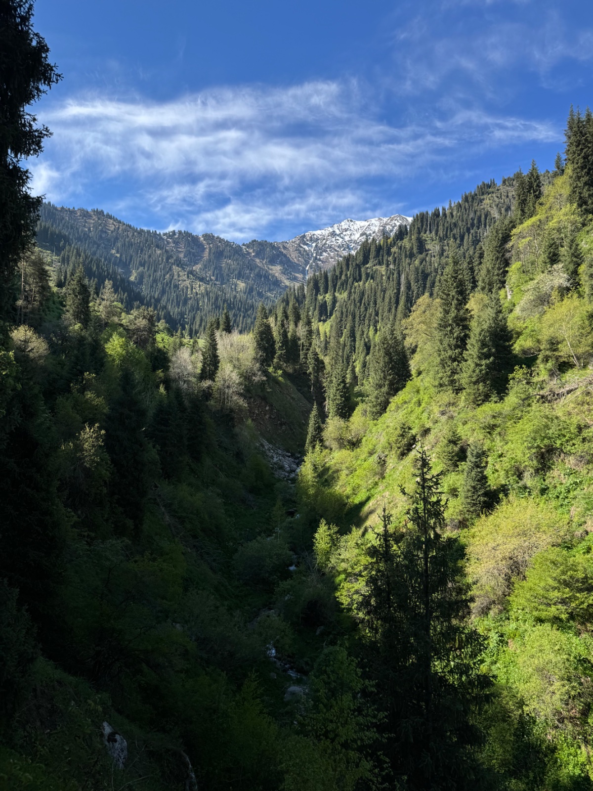 Trail photo