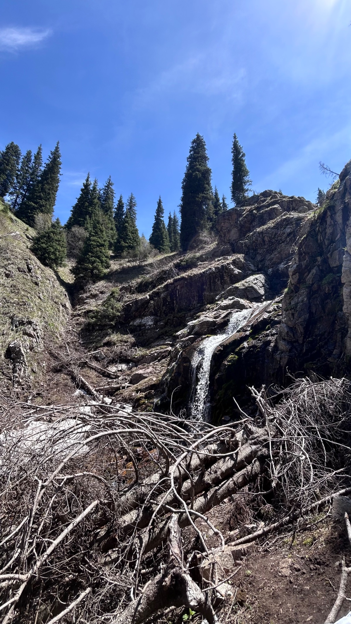 Trail photo