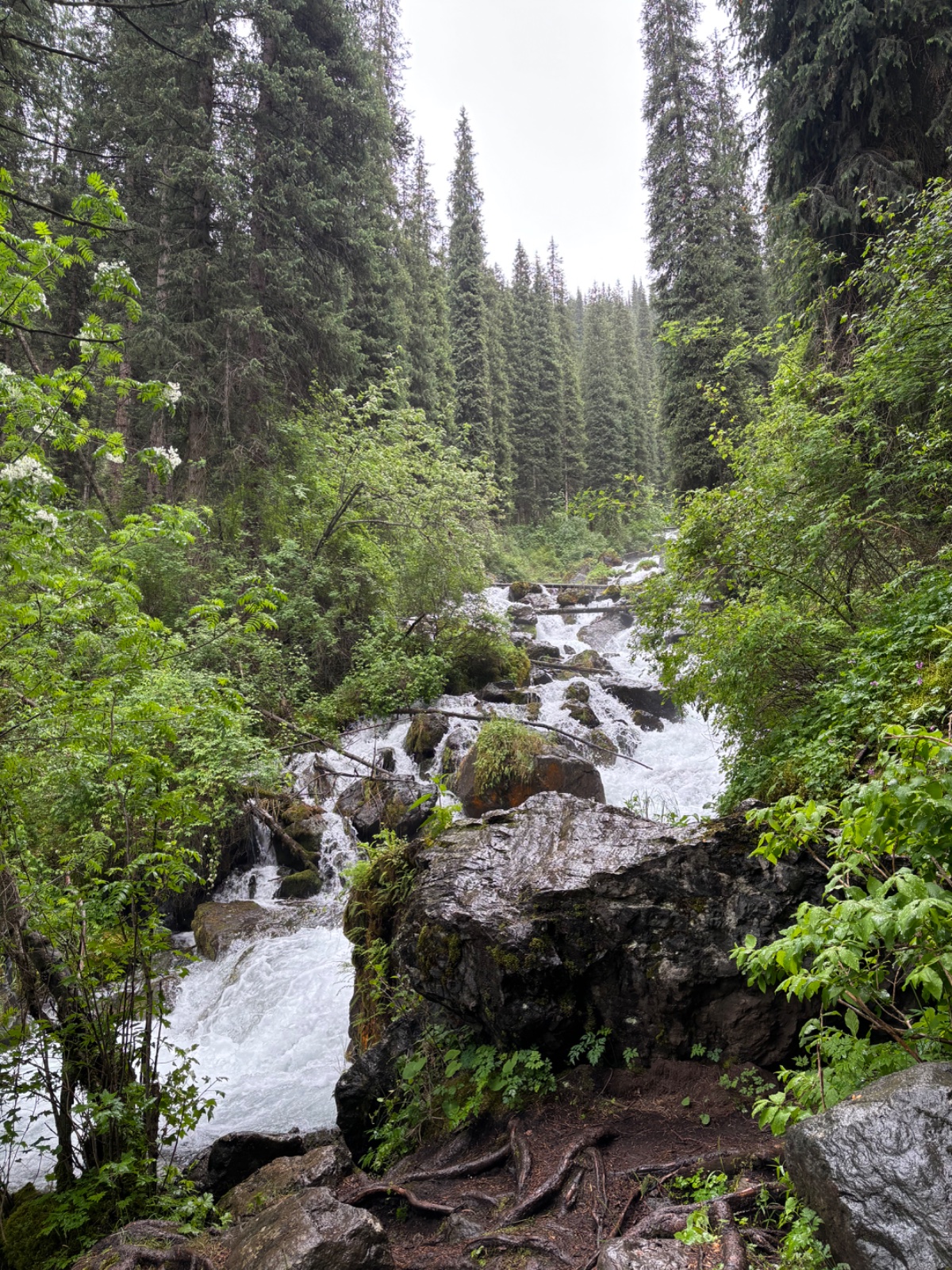 Trail photo
