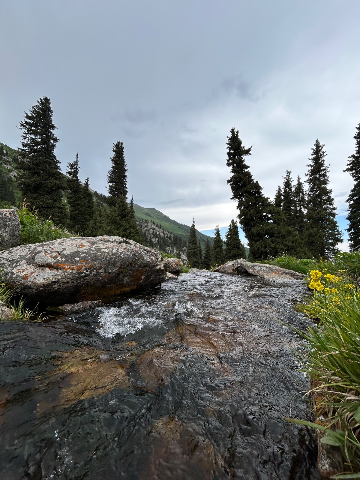 Trail photo