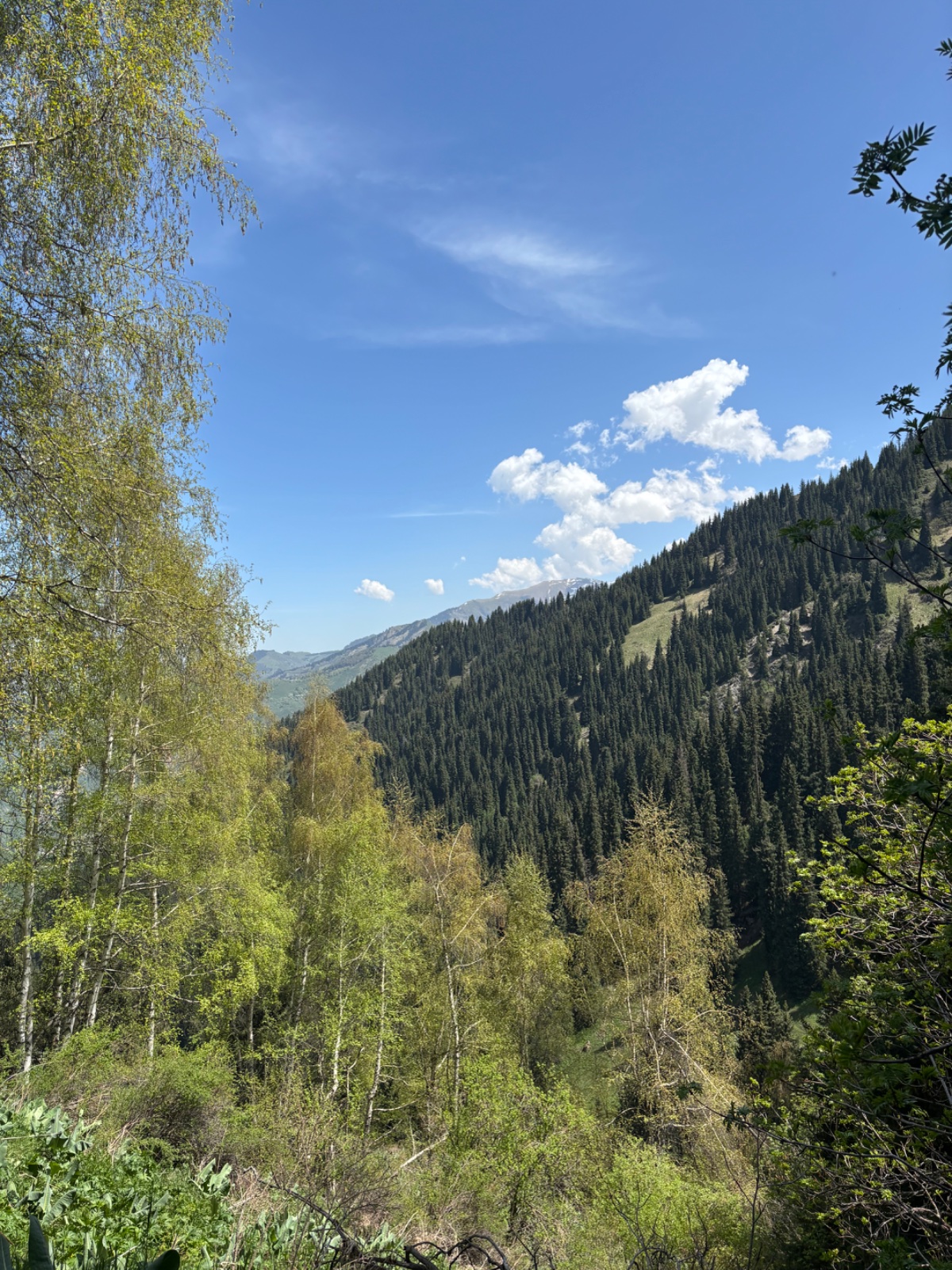 Trail photo