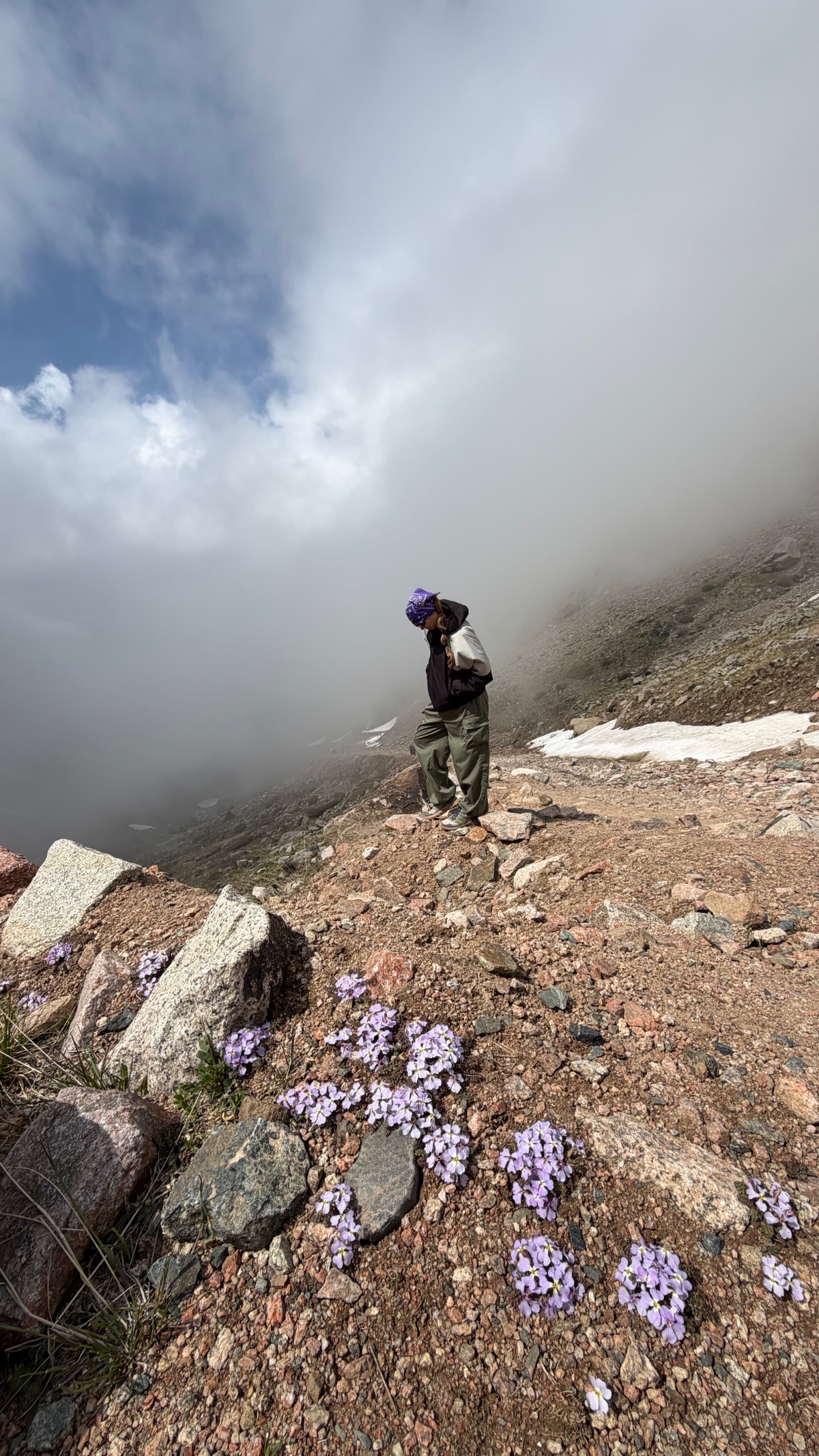 Trail photo