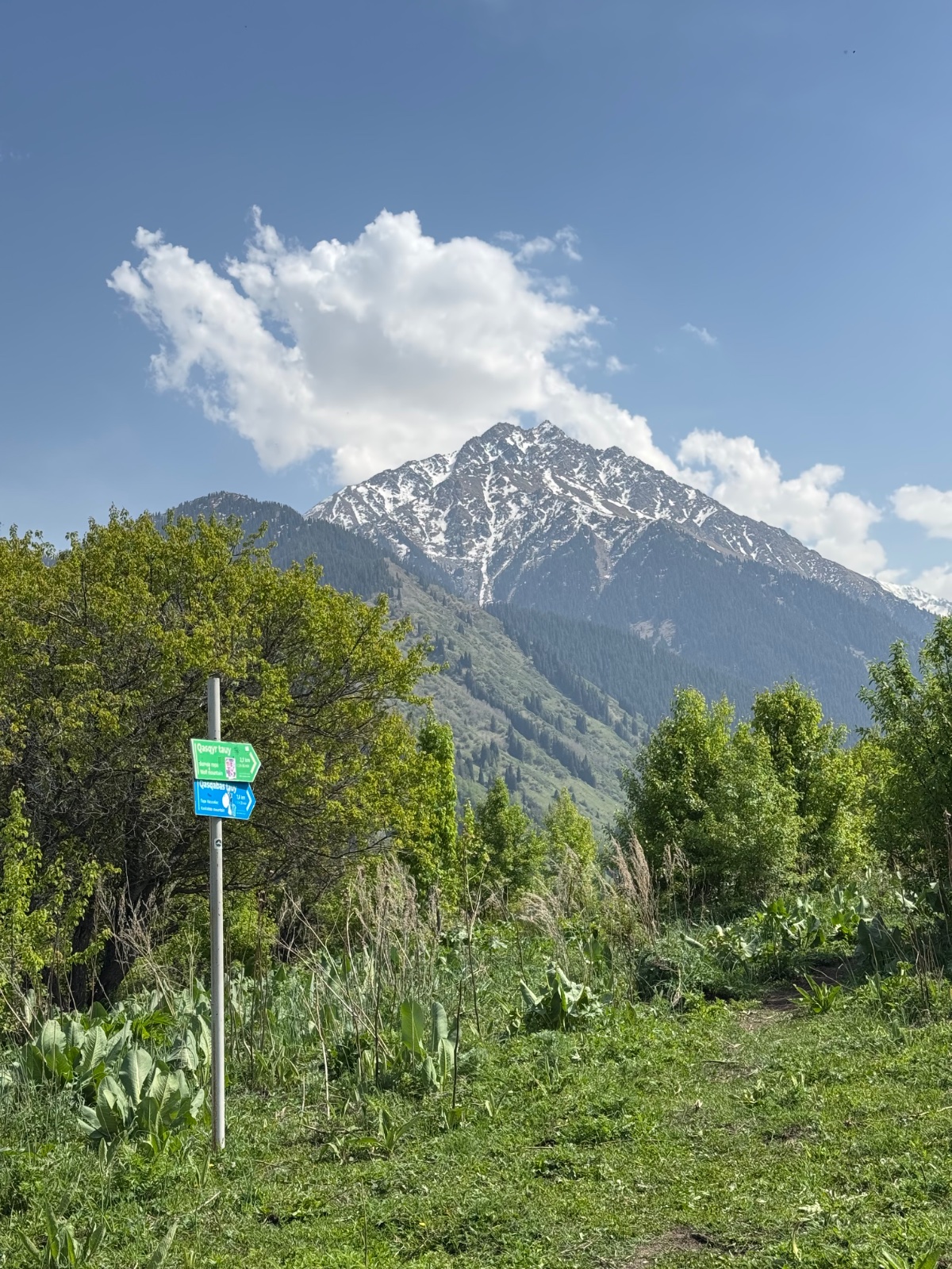 Trail photo
