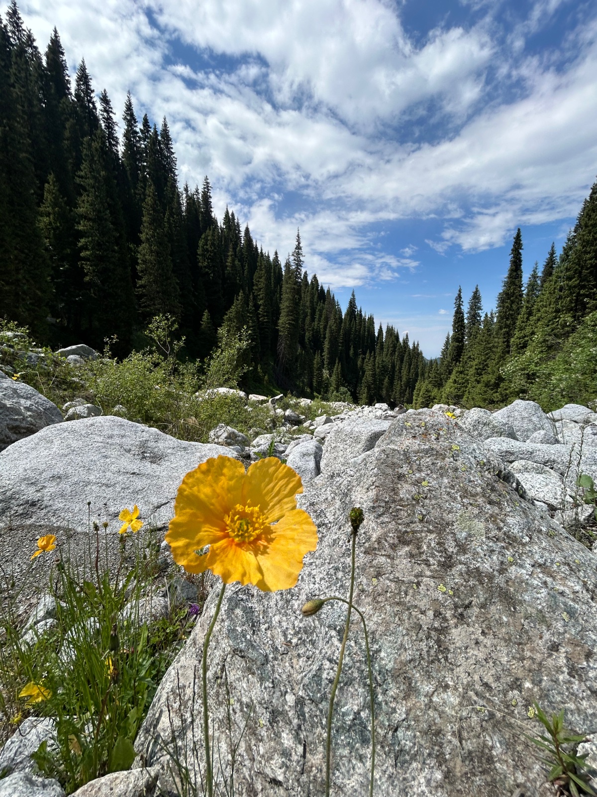 Trail photo