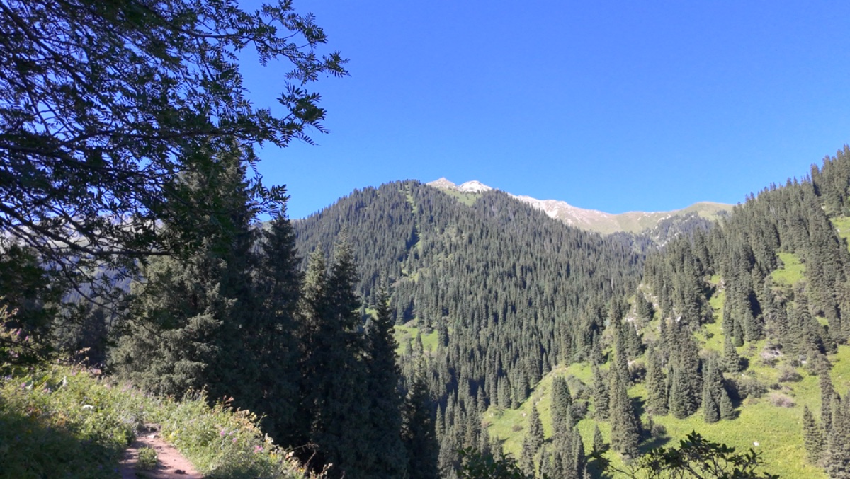 Trail photo