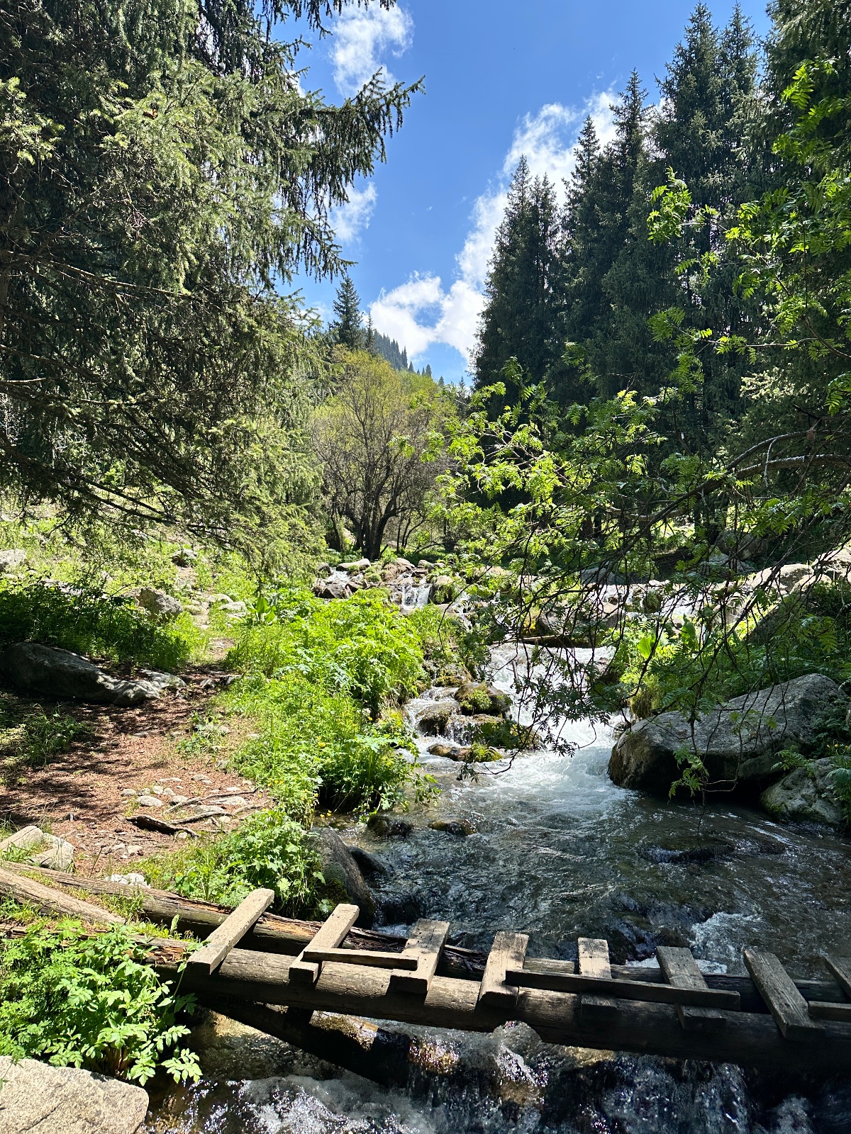 Trail photo