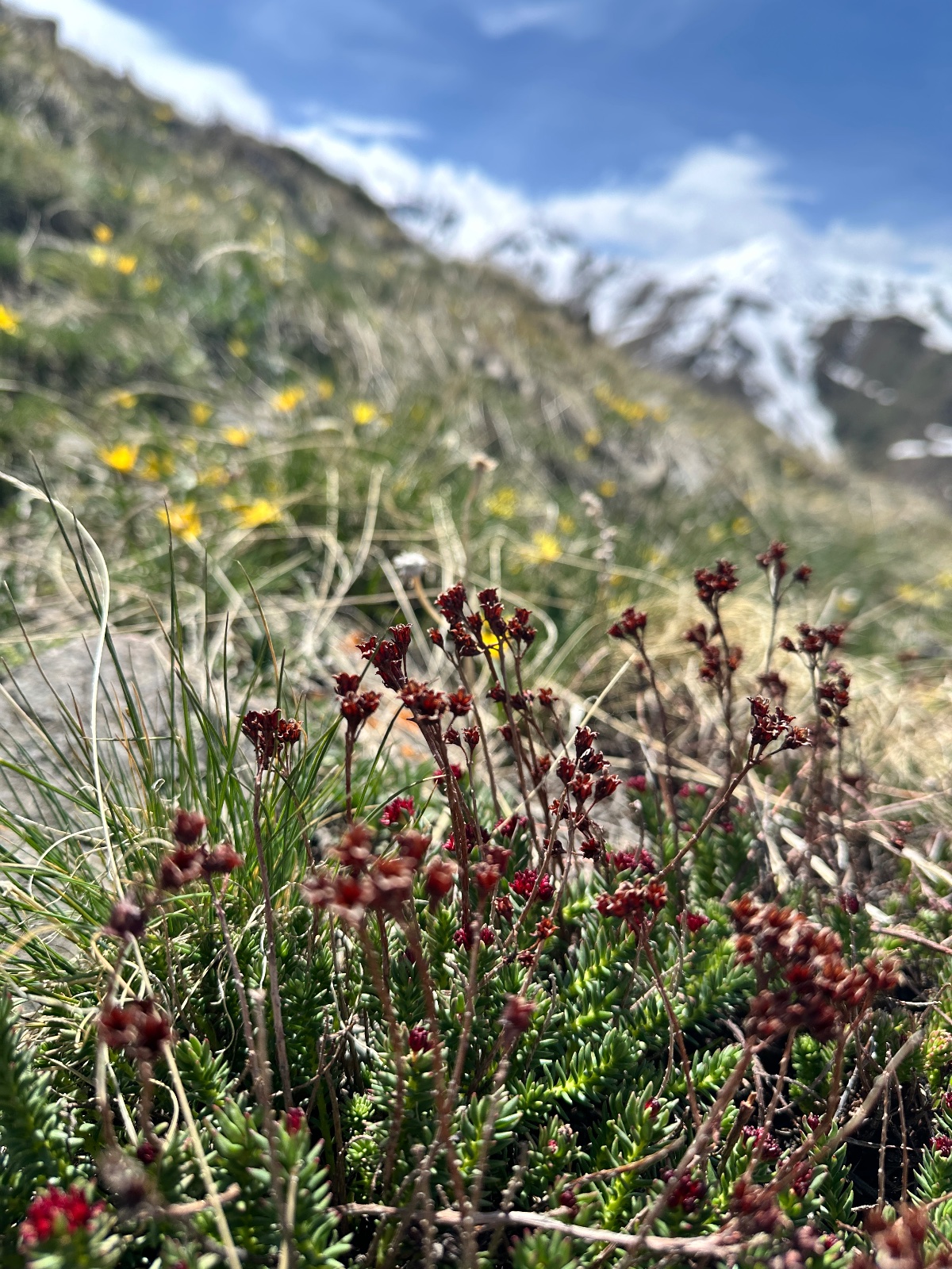 Trail photo