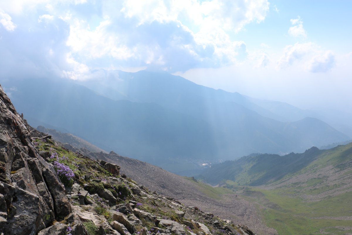 Trail photo