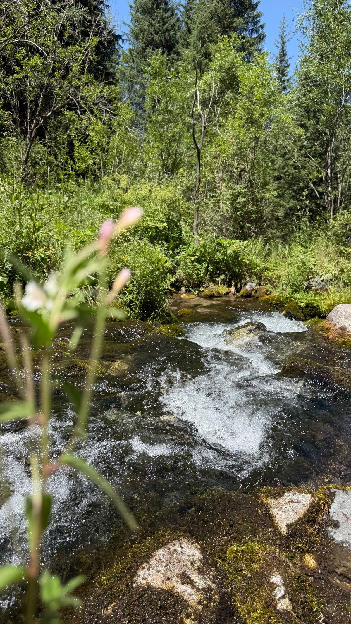 Trail photo