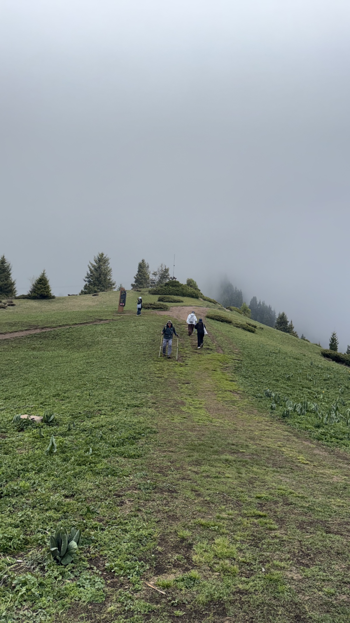 Trail photo