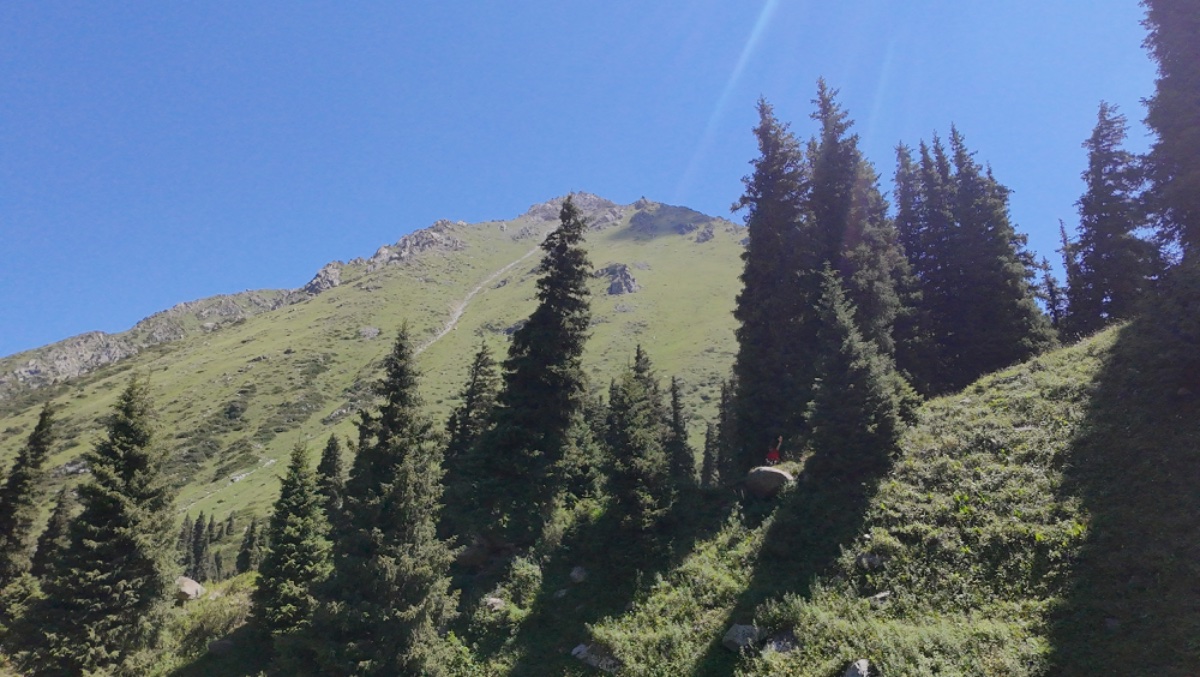Trail photo