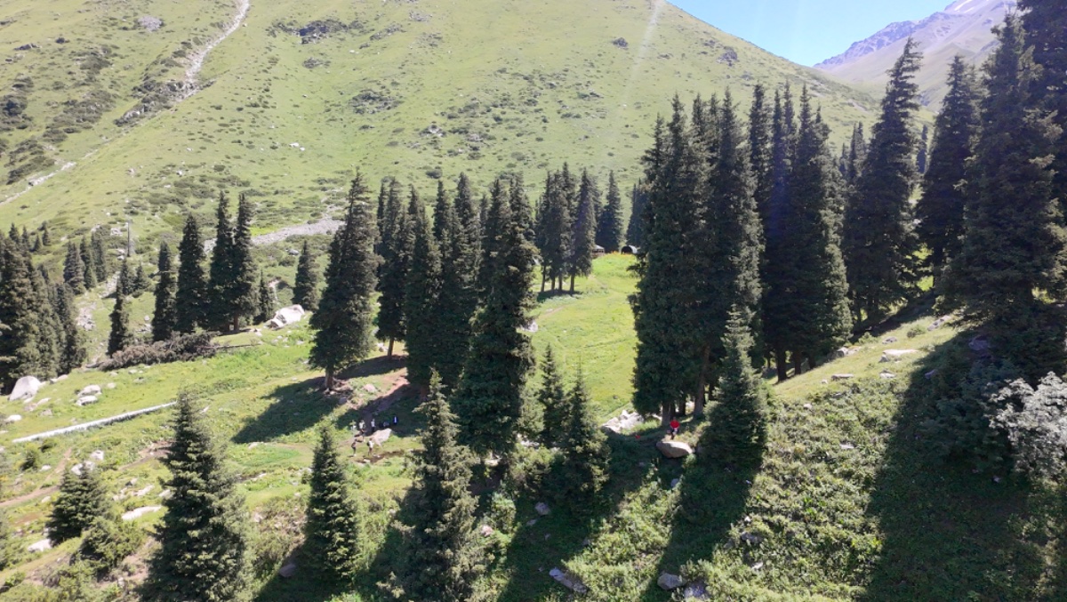 Trail photo