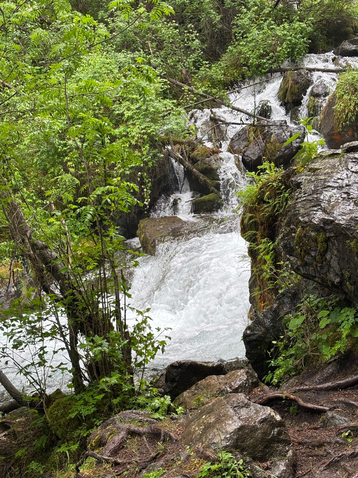 Trail photo