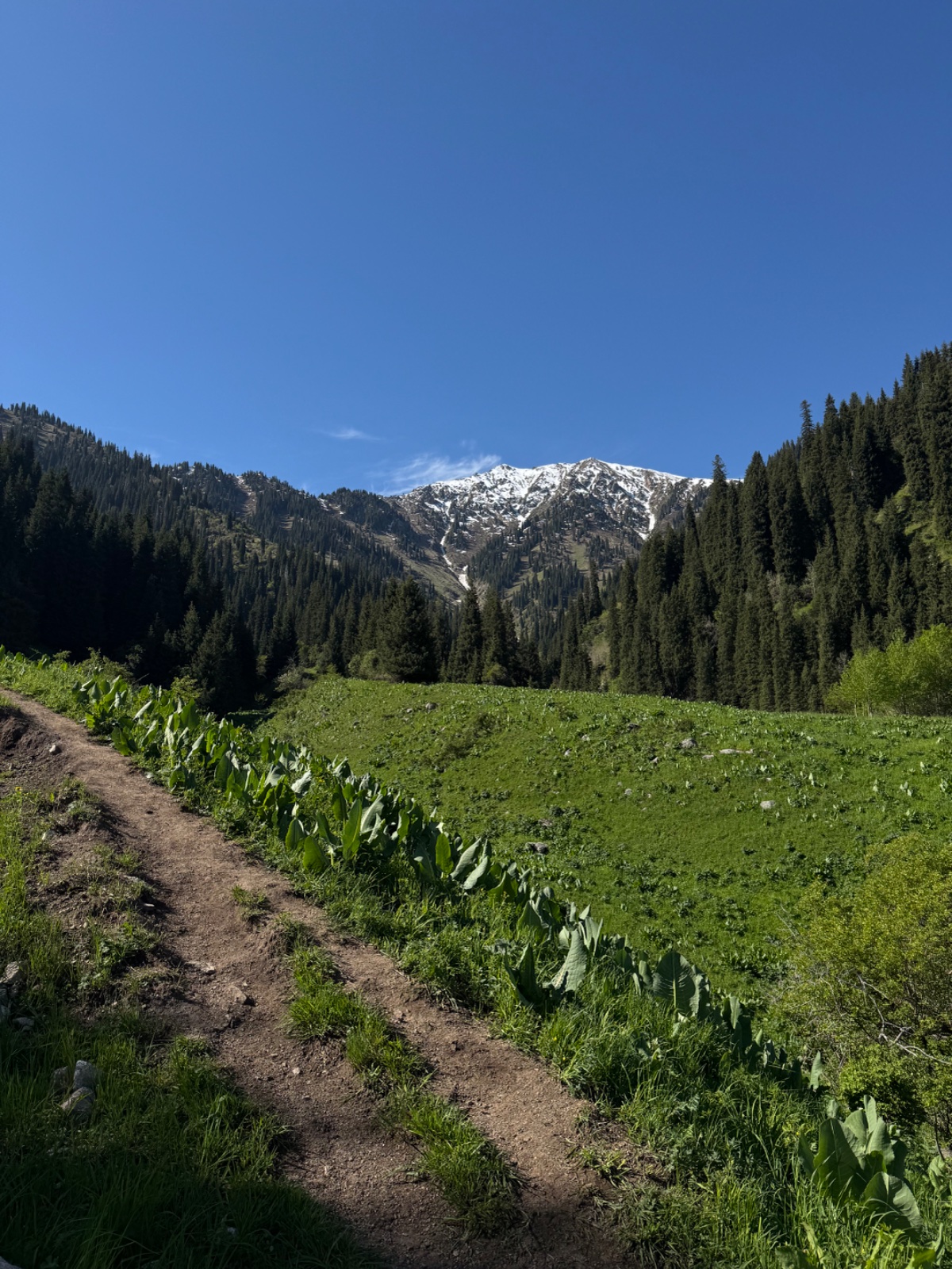 Trail photo