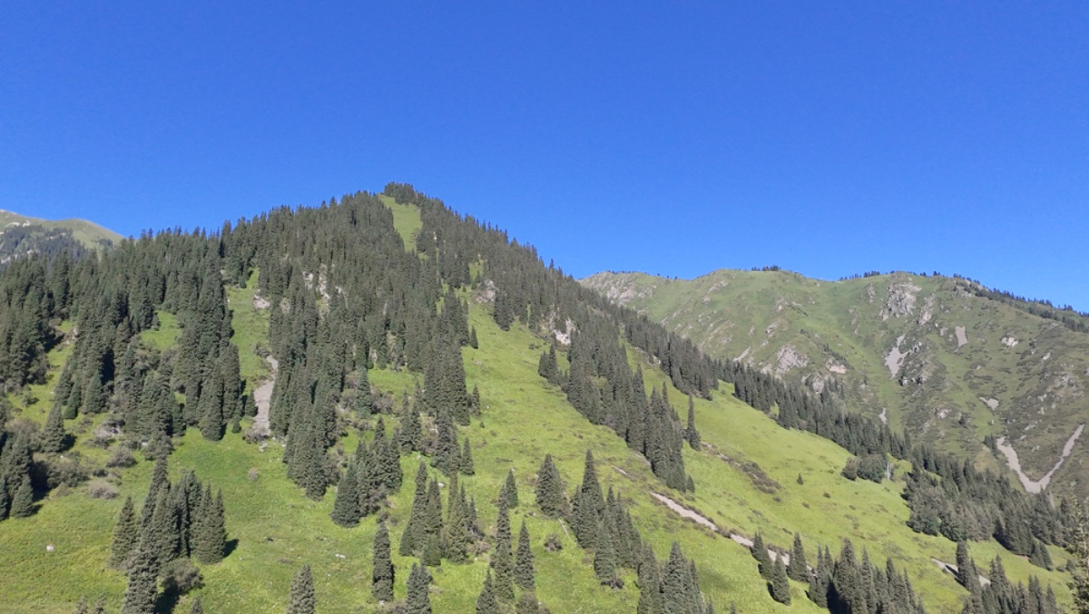 Trail photo
