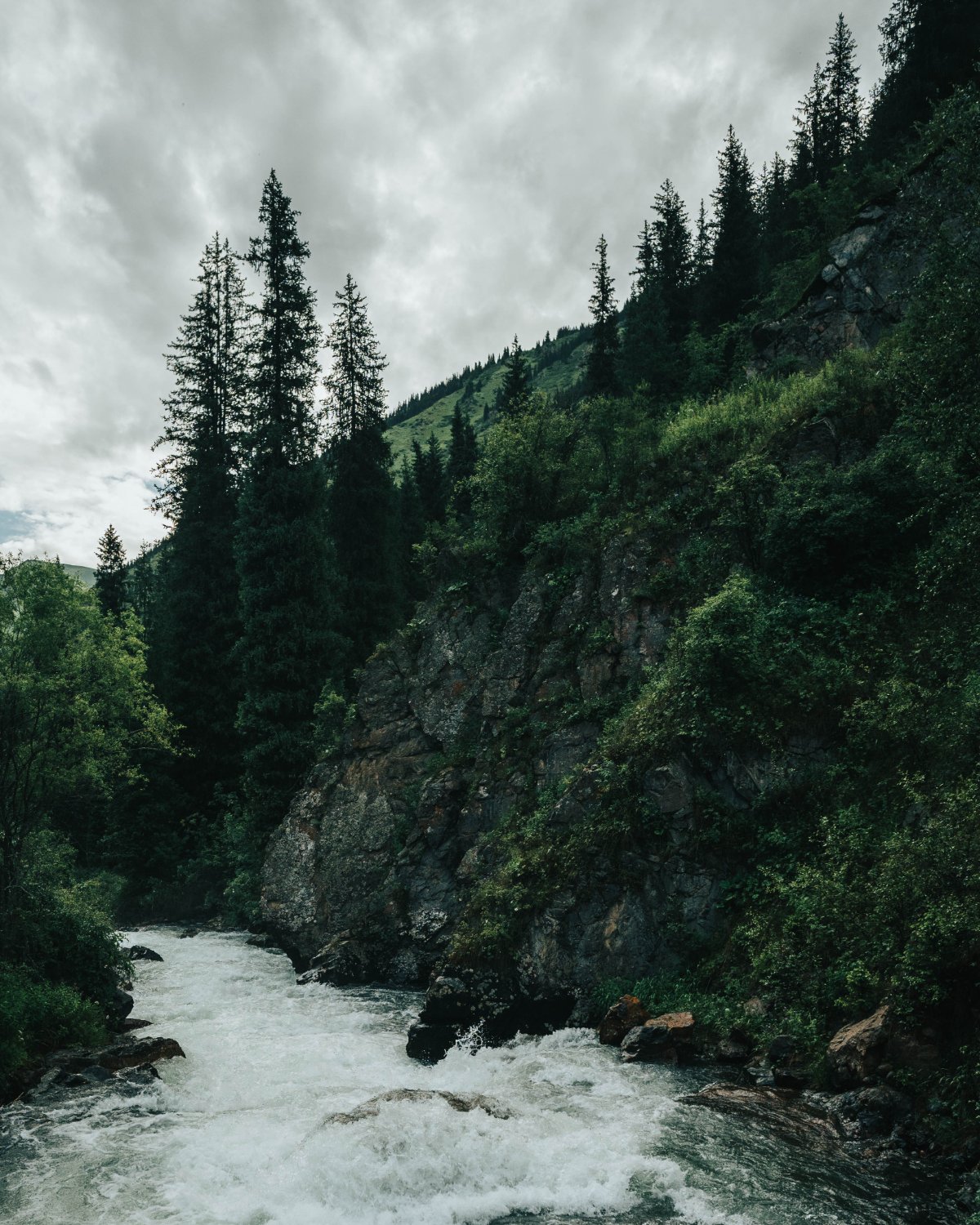 Trail photo