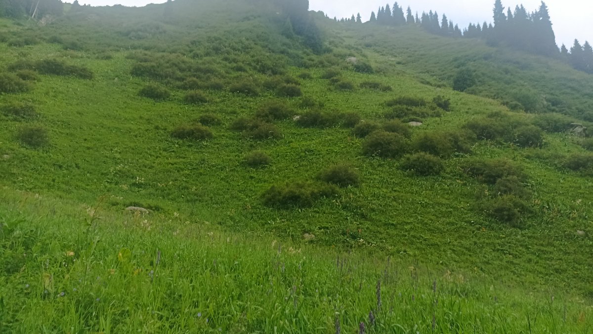 Trail photo