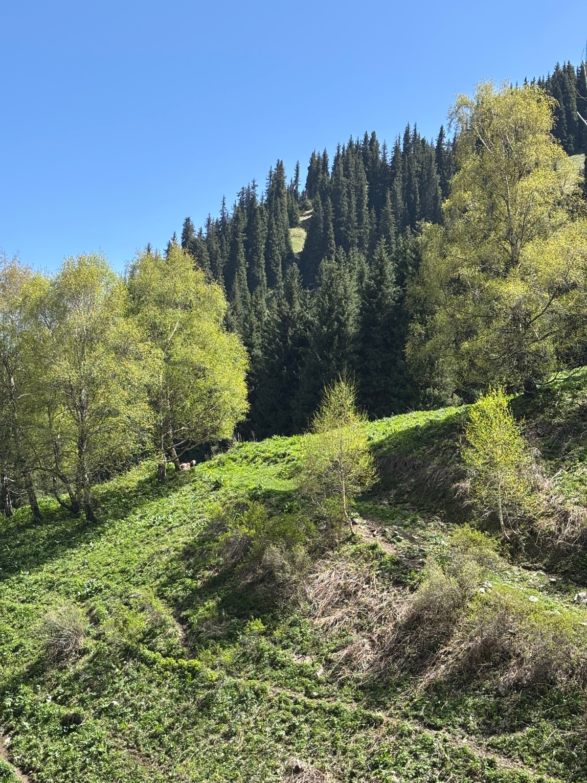 Trail photo