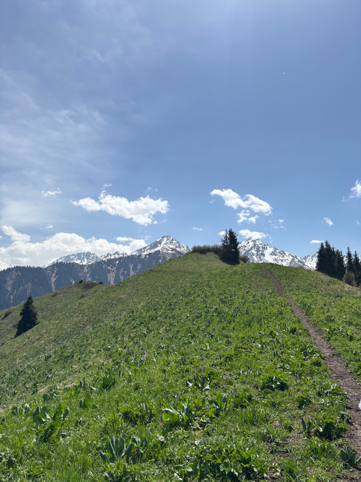 Trail photo