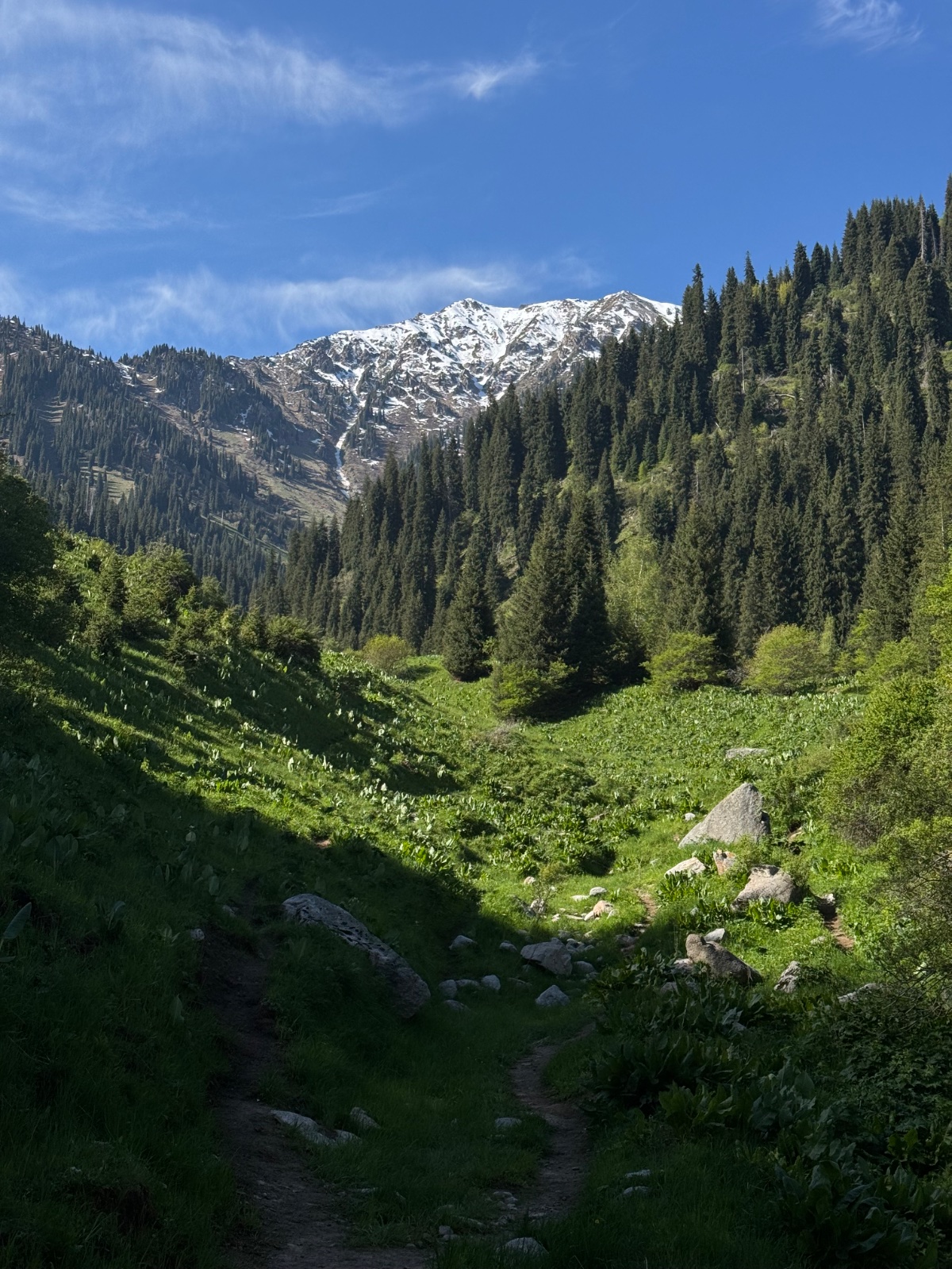 Trail photo
