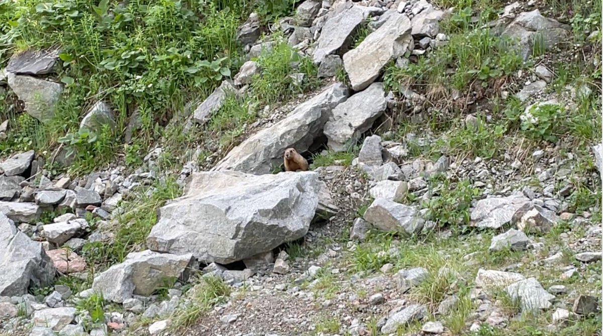 Trail photo