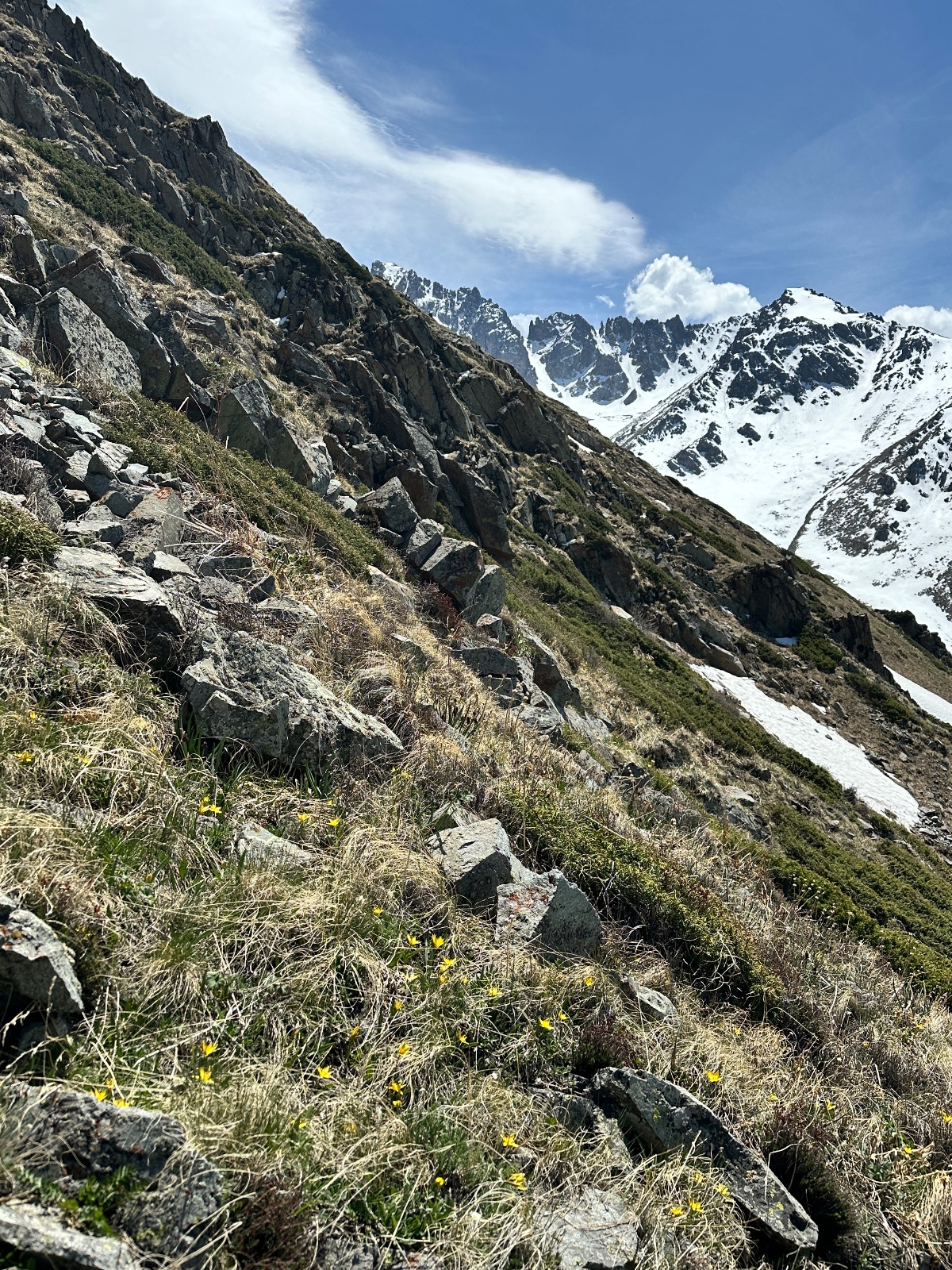 Trail photo