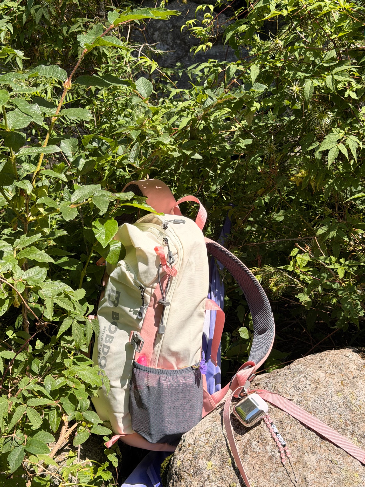 Trail photo