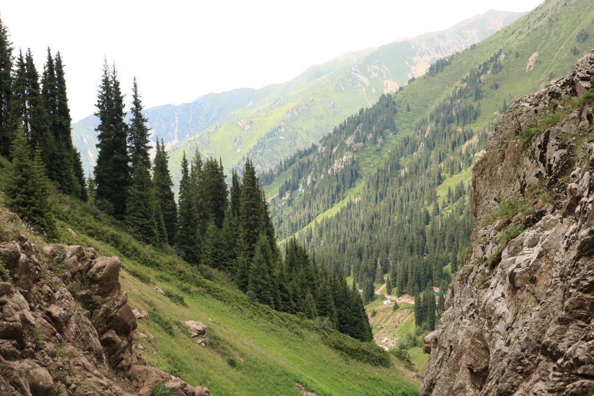 Trail photo