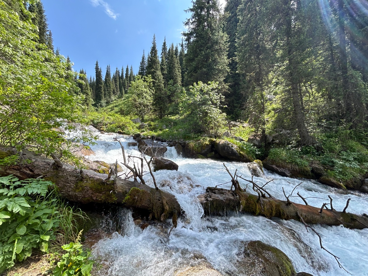 Trail photo