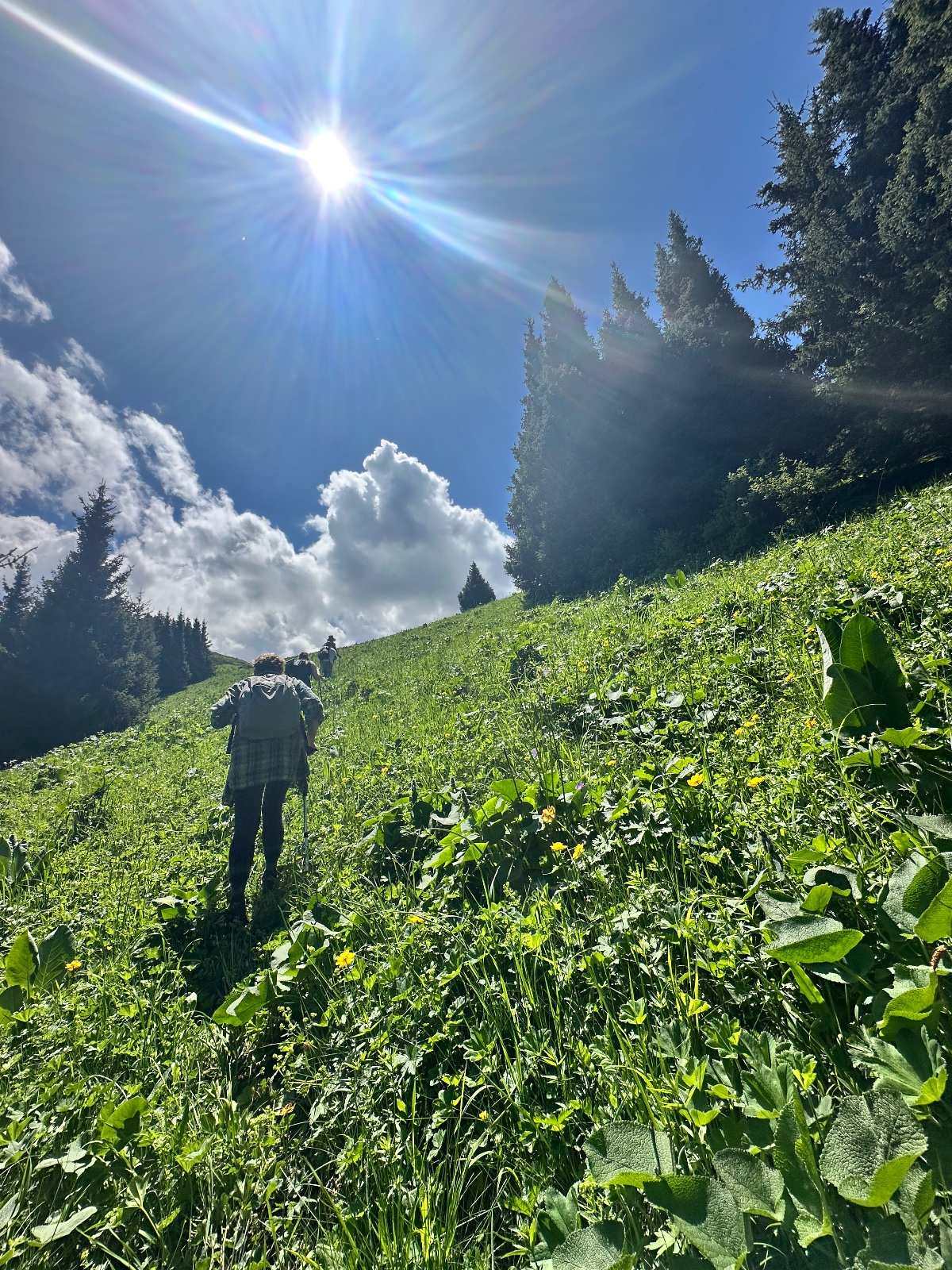 Trail photo