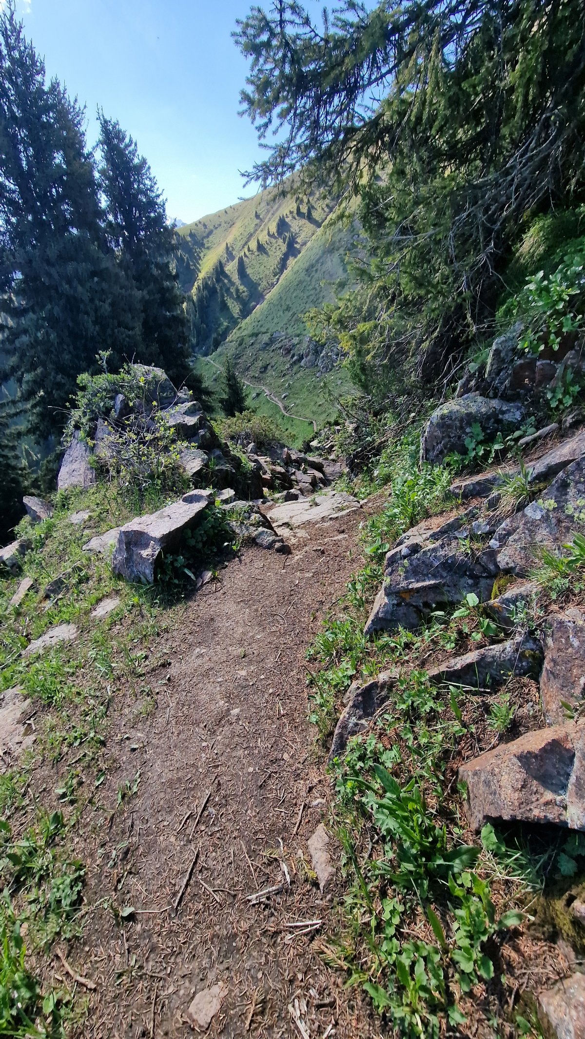 Trail photo