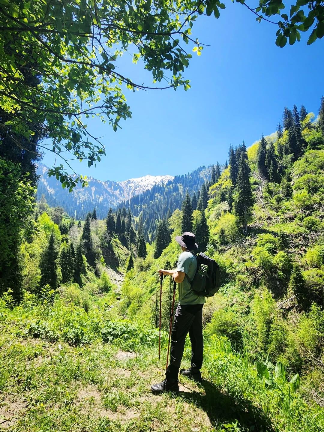 Trail photo