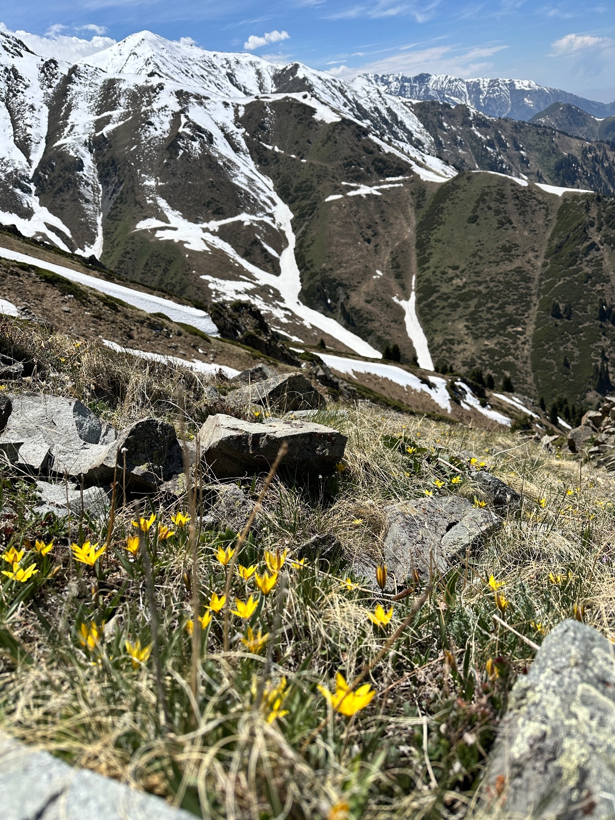 Trail photo