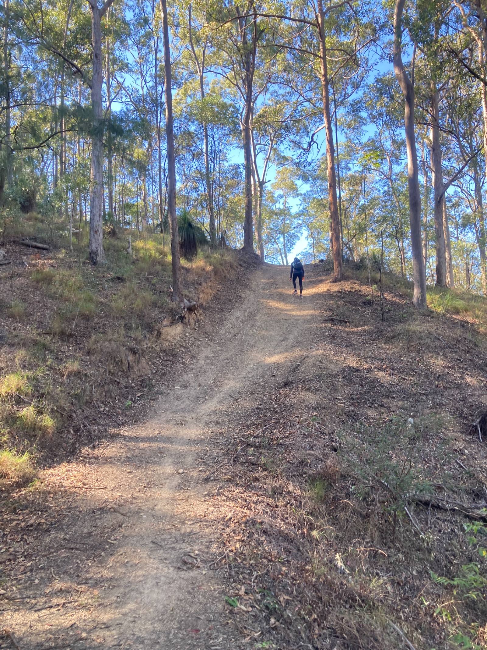 Best Hiking Trails in Australia