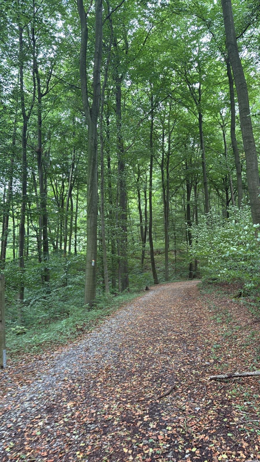 De beste wandelroutes in Duitsland