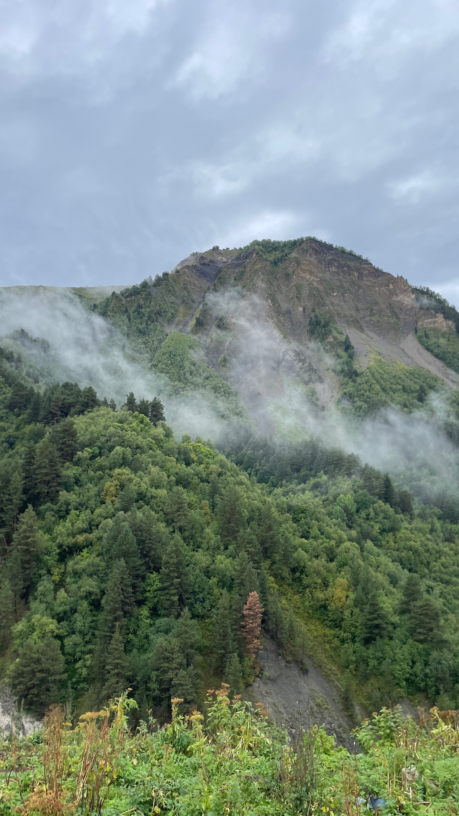 Жабеши - Адиши