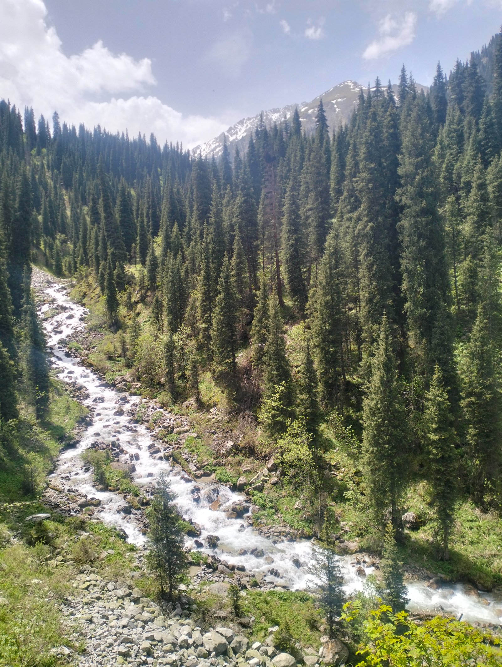 Trail photo