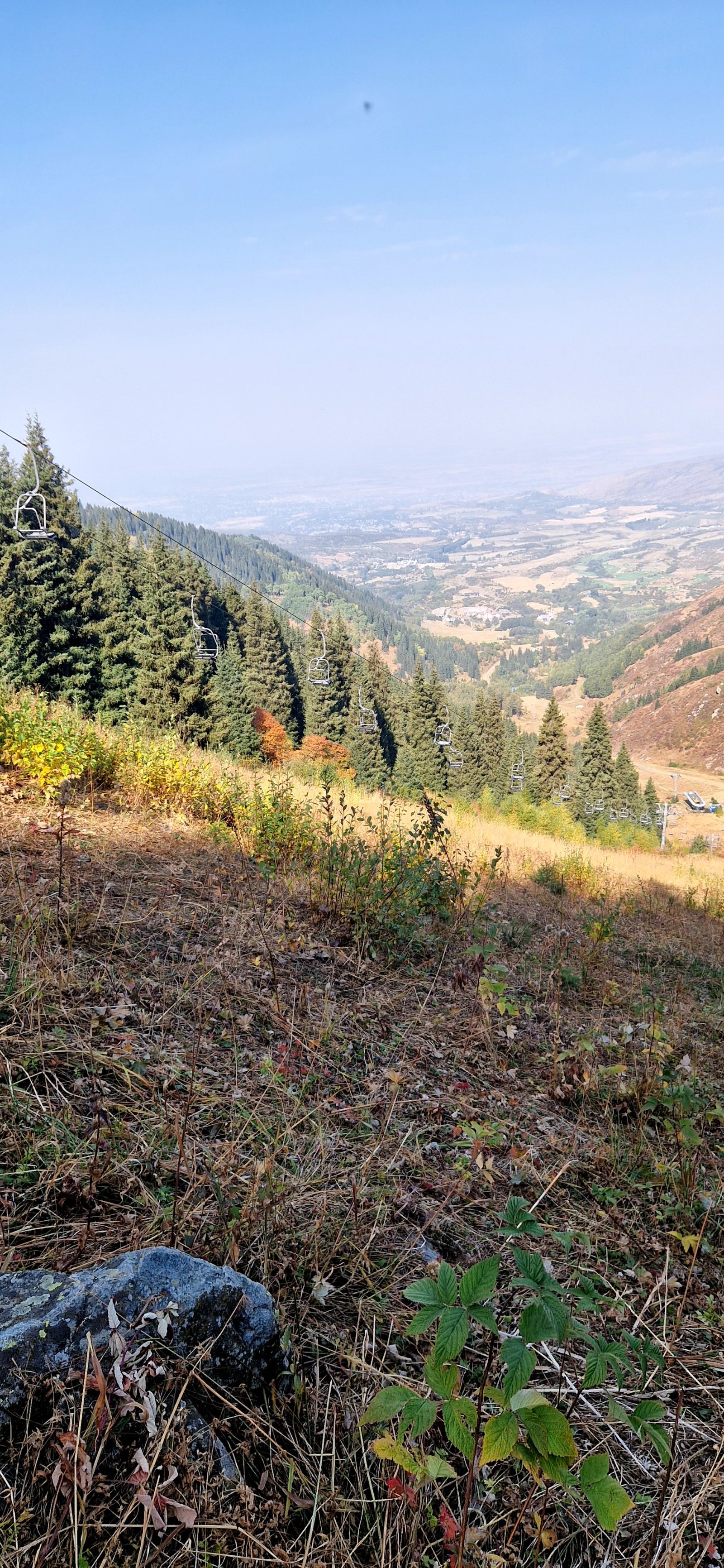 Trail photo