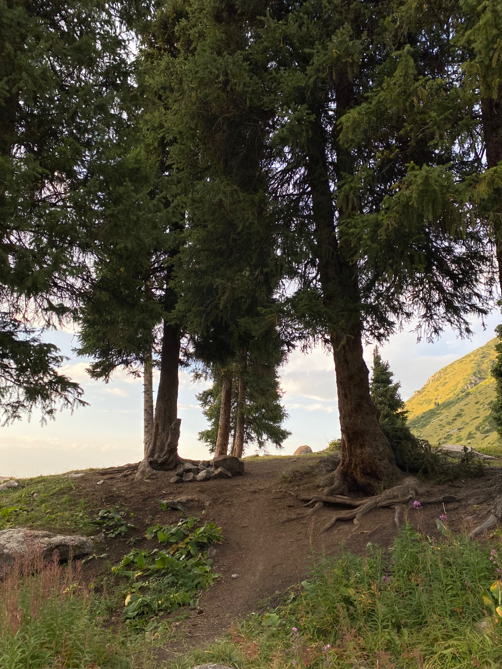 Trail photo